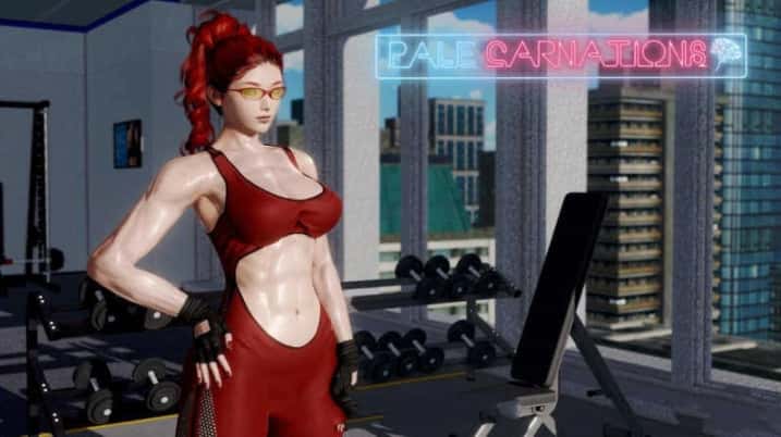 康乃馨俱乐部背景